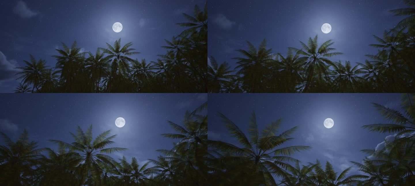 4k椰林月夜④