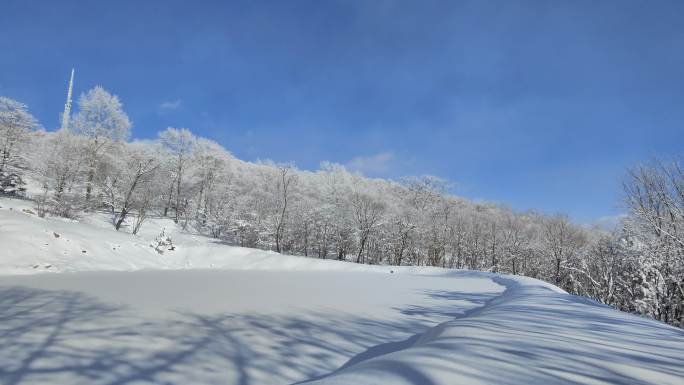 ⚝4K横屏⚝雪景雾凇蓝天白雪东北树挂