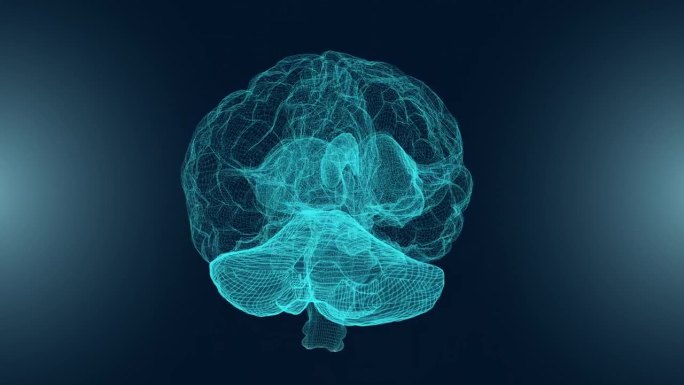 蓝色背景的3D脑扫描旋转循环动画