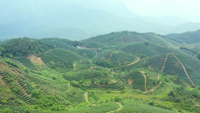 茶山4K航拍 多景别