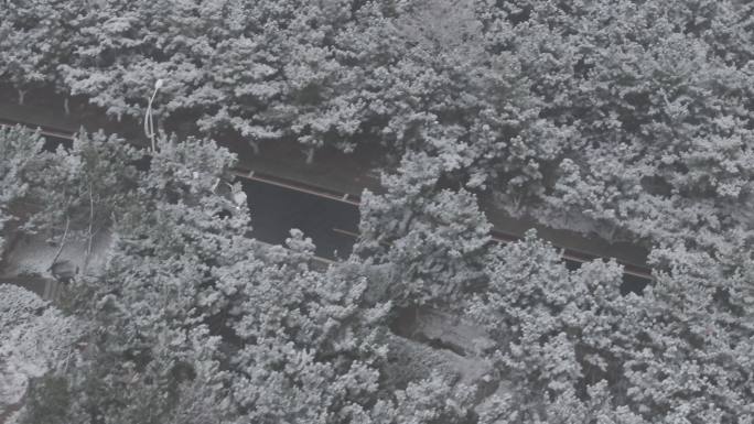 航拍俯瞰威海国际海水浴场环海路巡逻警车