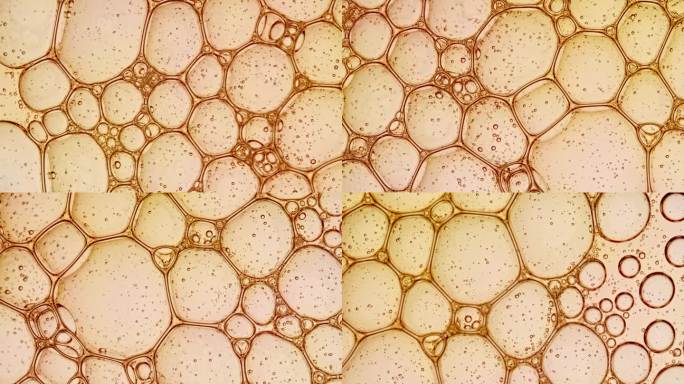 透明化妆品凝胶流体与分子气泡油分布。显微镜下的细胞泡簇。天然有机化妆品、药品微距拍摄。生产特写。缓慢
