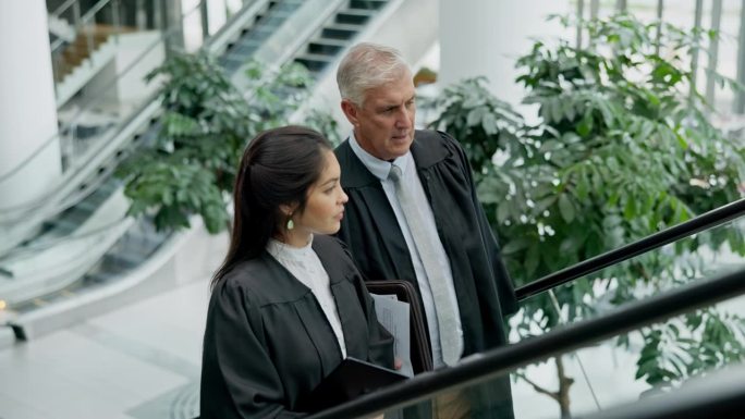 在法庭案件或刑事调查中与法律团队合作交谈。讨论中，电梯与职业女律师与她的资深律师法官导师交谈。