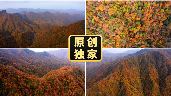 五彩斑斓的秋天 彩色秋天 秦岭山脉航拍