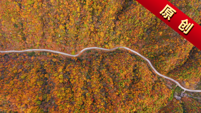 五彩斑斓的秋天 彩色秋天 秦岭山脉航拍