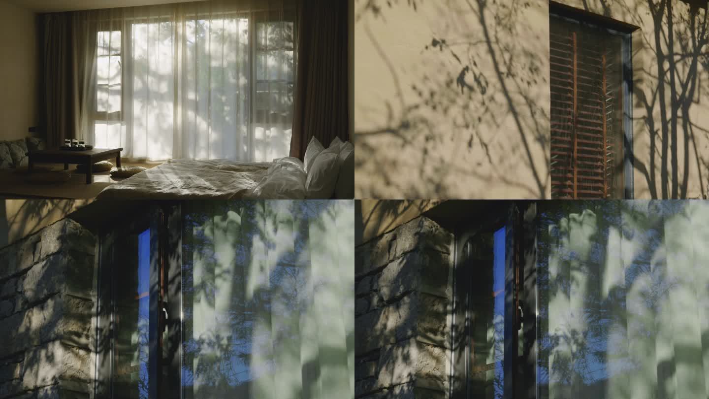树影照射在窗户上