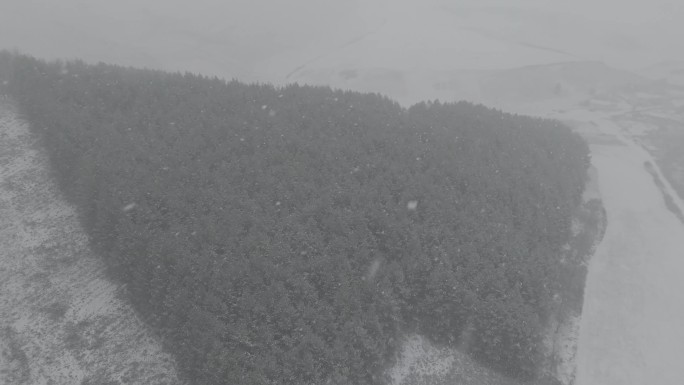 FPV航拍雪山森林滑雪场雪景森林暴风雪