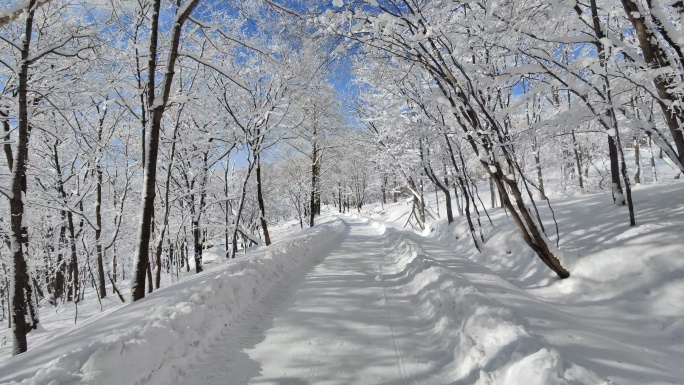 ⚝4K横屏⚝雪景雾凇蓝天白雪东北树挂