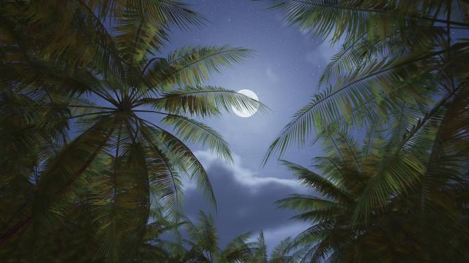 4k椰林月夜①