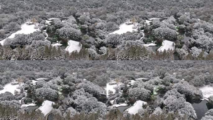 航拍杭州下雪雪中太子湾公园