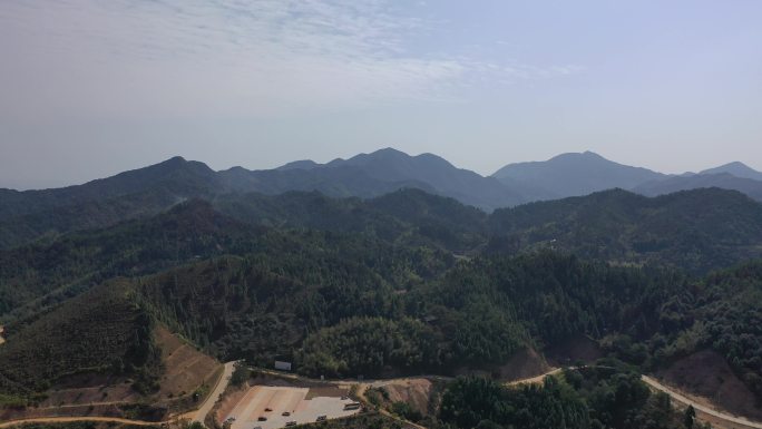 杉木林 福建 河山 山顶 航拍 风景