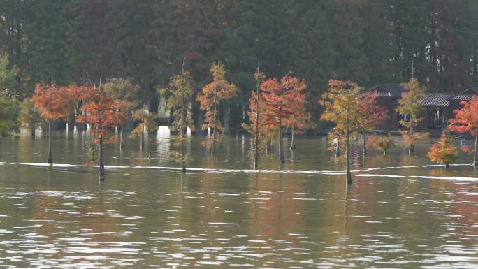 湖北仙桃梦里水乡景区