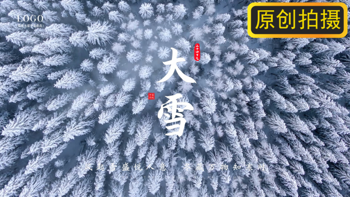 【原创拍摄】大雪节气海报节气模板