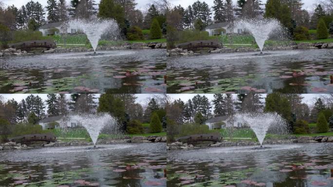 加拿大奥克维尔盖尔洛克花园的喷泉