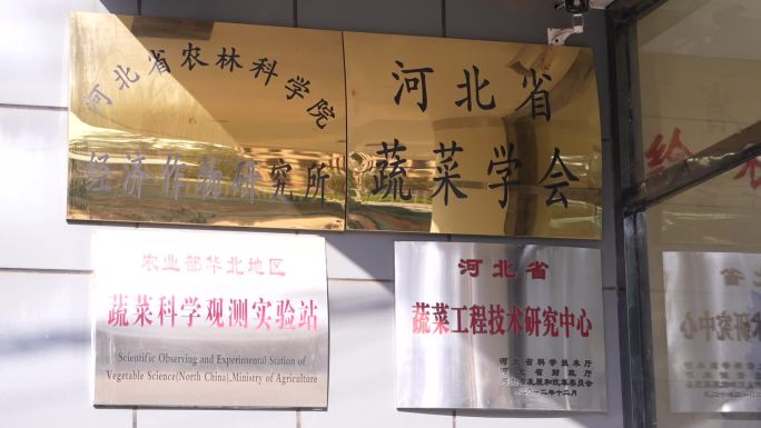 河北省蔬菜协会展示墙