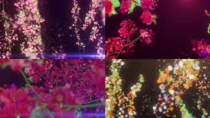 【视频】鲜花生长交互大屏 E版