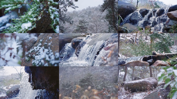 4k大雪下雪森林林间积雪冬天冰山小溪慢镜