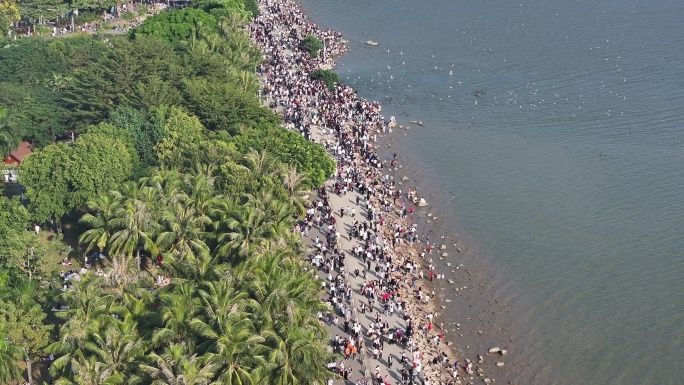 深圳湾公园观鸟人群深圳湾候鸟