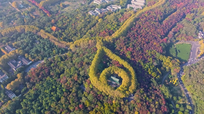 南京美龄宫秋景航拍