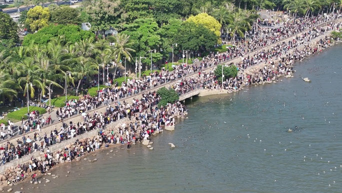 深圳湾公园观鸟人群深圳湾候鸟