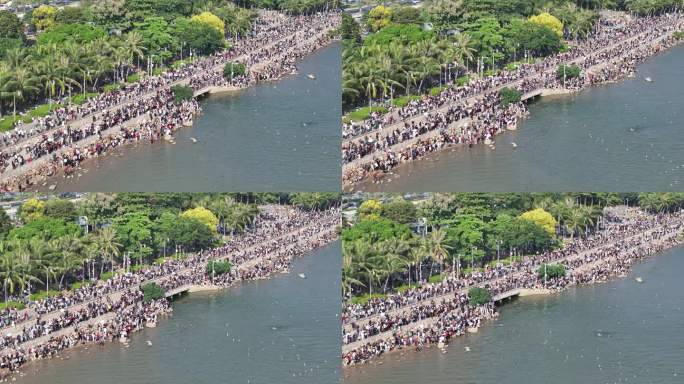 深圳湾公园观鸟人群深圳湾候鸟