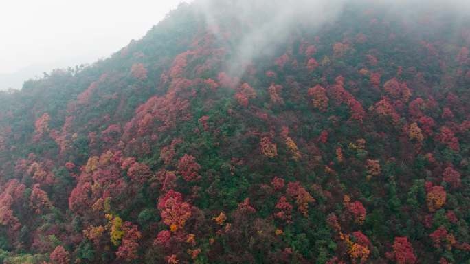 五彩斑斓的高山