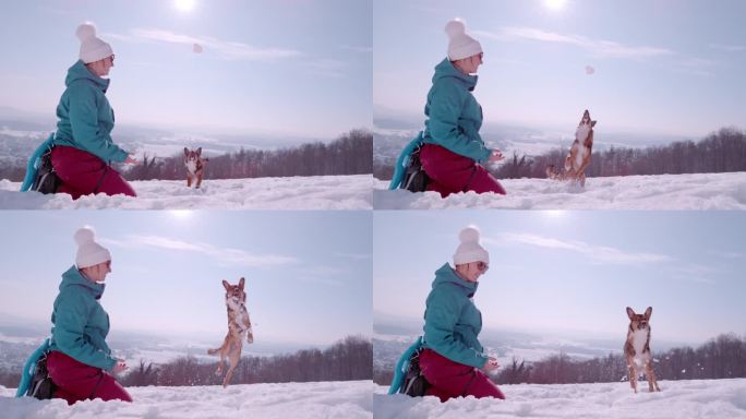 慢镜头，特写:开朗的女士和她活泼的狗在雪地里玩耍