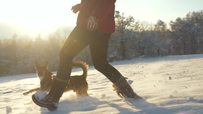 镜头:在金色的晨光中，一位女士和她顽皮的狗在新鲜的雪地上奔跑