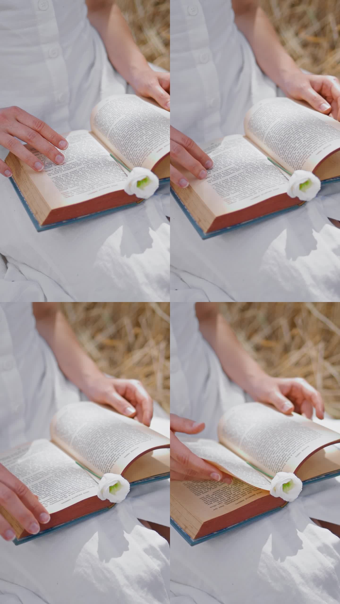 女士的指尖触碰书页田野垂直特写。女人读文学