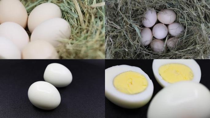 鸡窝农家土鸡蛋 白煮蛋 鸡蛋 打蛋鸟窝