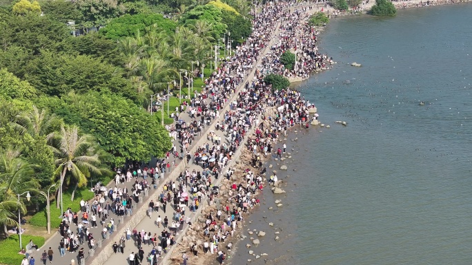 深圳湾公园观鸟人群深圳湾候鸟