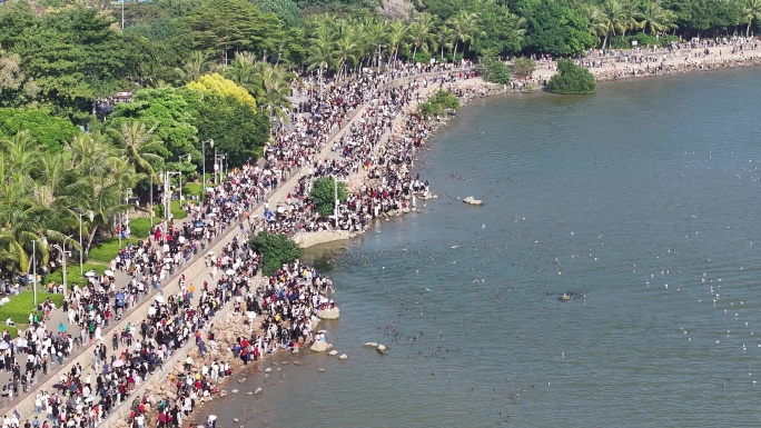 深圳湾公园观鸟人群深圳湾候鸟