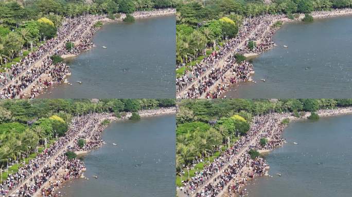 深圳湾公园观鸟人群深圳湾候鸟