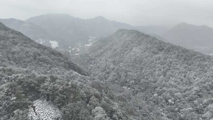 航拍杭州下雪雪中树林航拍