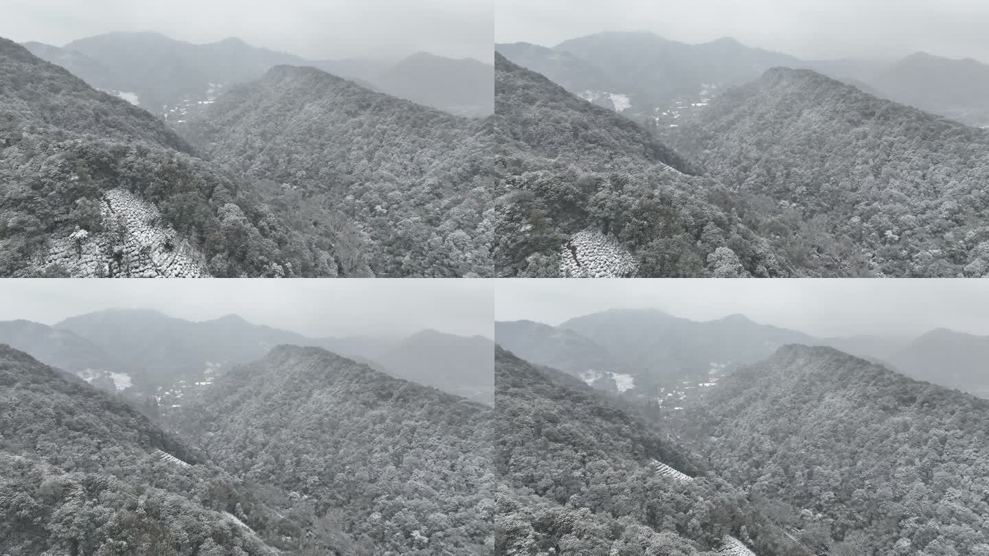 航拍杭州下雪雪中树林航拍