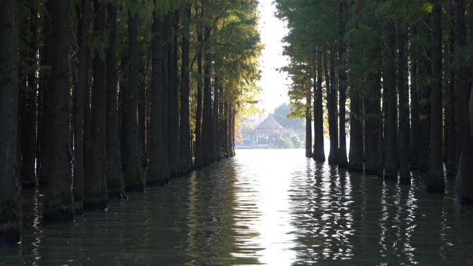 湖北仙桃梦里水乡景区