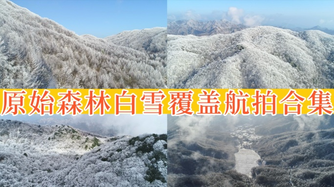 【35元】原始森林大雪覆盖雪林航拍