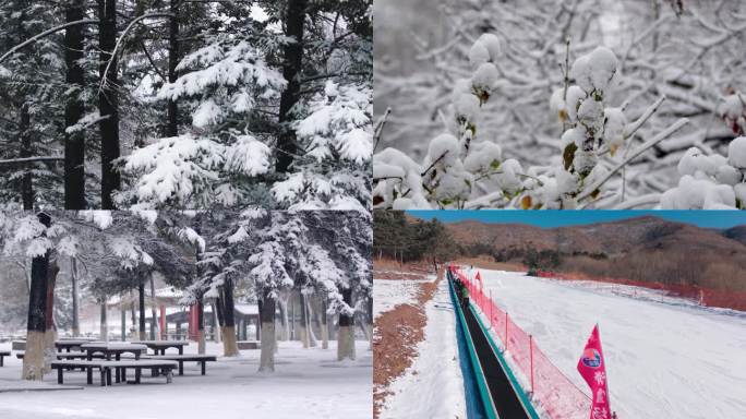 冰雪大世界 下雪 北国 滑雪场