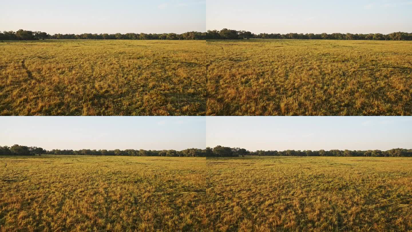 在肯尼亚马赛马拉国家保护区，乘坐低空飞行的热气球飞越空旷的非洲草原稀树草原，在马赛马拉北部保护区进行