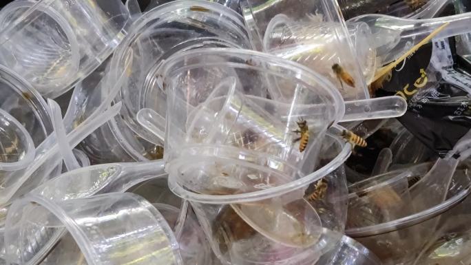 扔掉的塑料杯蜜蜂叮一次性水杯垃圾堆虫飞