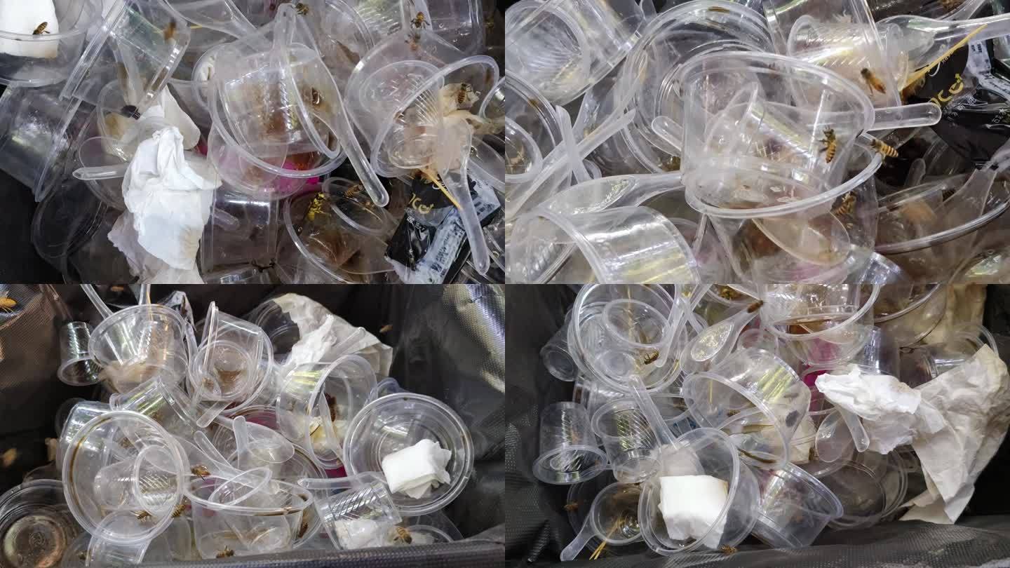 扔掉的塑料杯蜜蜂叮一次性水杯垃圾堆虫飞