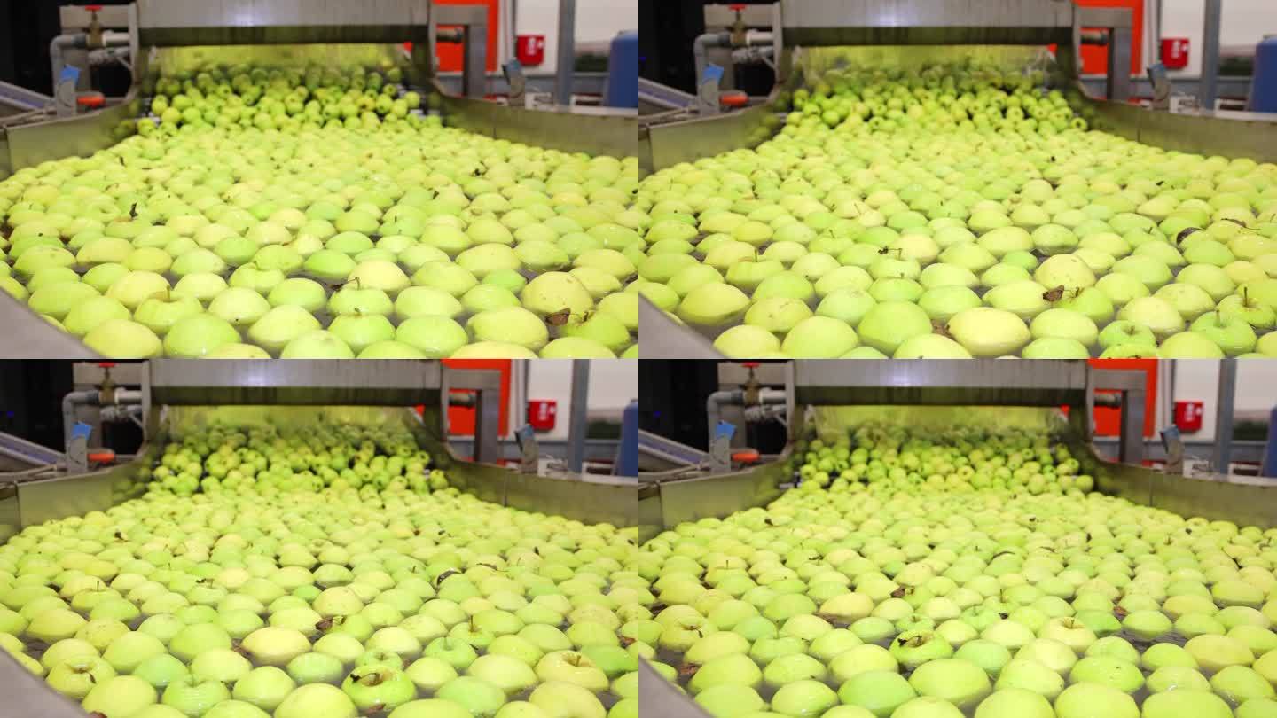 清洗仓库传送带上的新鲜苹果