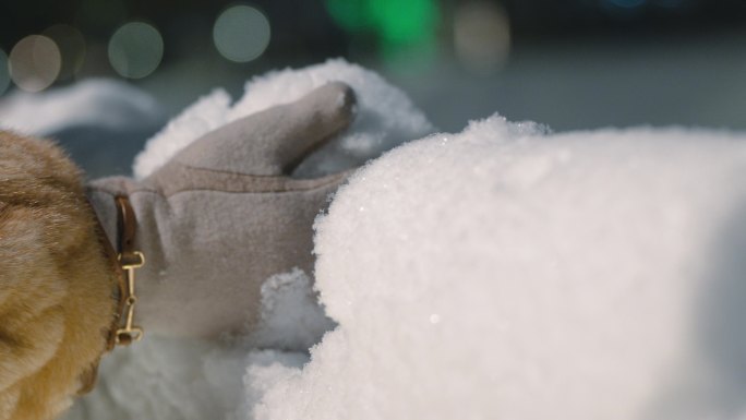 4K冬季冬天女孩玩雪撒雪哈尔滨积雪