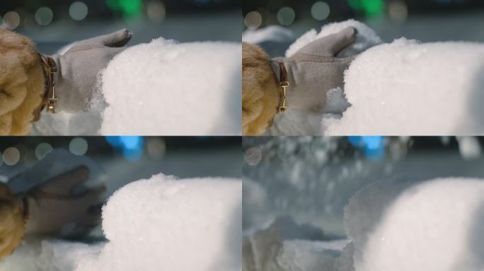 4K冬季冬天女孩玩雪撒雪哈尔滨积雪