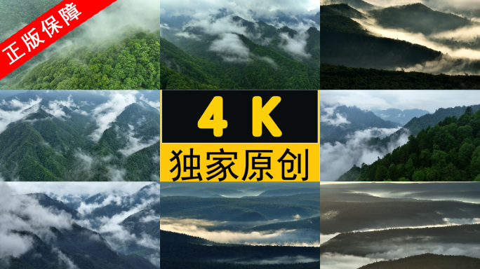 12组高清日出云海云雾缭绕森林大自然