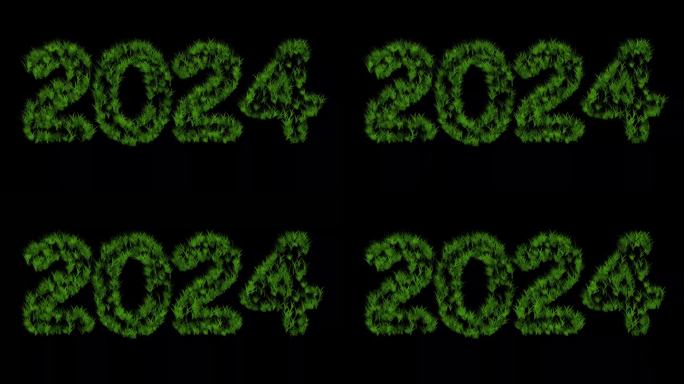 2024年，黑色背景上的绿草
