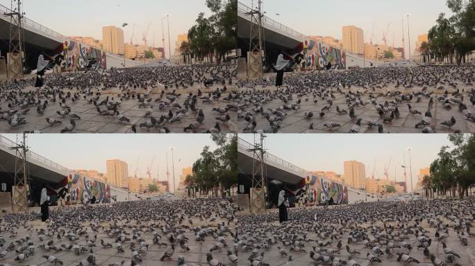 沙特阿拉伯王国的麦加城。朝拜者在大清真寺(麦加)附近的广场上喂鸽子。城市的动物