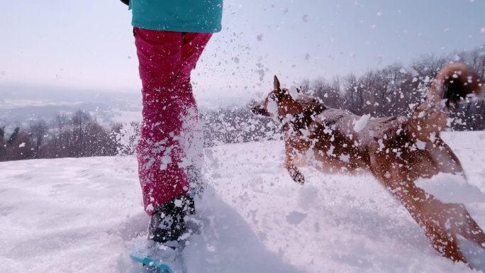 超级慢动作，低角度:棕色狗和一个女人在新雪中奔跑