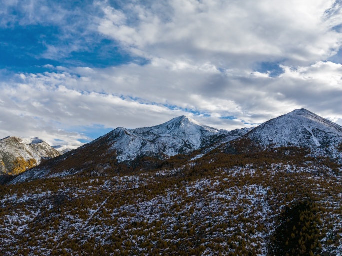 航拍秋色贡嘎雅拉雪山彩林