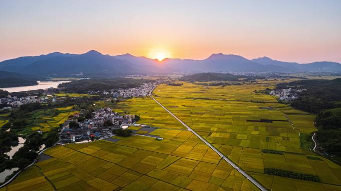 惠东黄坑稻田航拍延时--4K